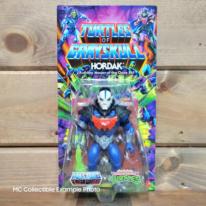 Hordak Turtles of Grayskull TMNT MOTU Origins 6" Action Figure