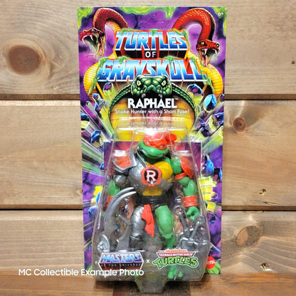 Turtles of Grayskull Raphael TMNT MOTU Origins 6" Action Figure