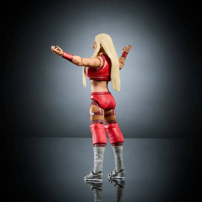 Charlotte Flair WWE Elite Collection SummerSlam  Action Figure William Regal BAF
